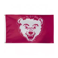 Wincraft Montana Grizzlies 3'x5' Deluxe Flag