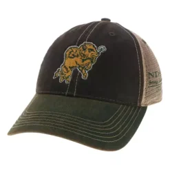 Legacy Athletic North Dakota State Bison BSA Snorty Hat