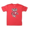Wes And Willy Kids' Wisconsin Badgers Basic Logo T-Shirt