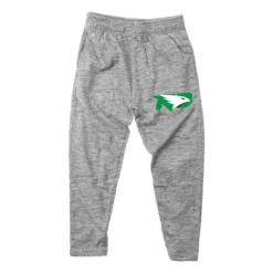Wes And Willy Kids' North Dakota Fighting Hawks Cloudy Yarn Pants