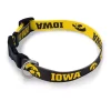 Wincraft Iowa Hawkeyes Team Pet Color