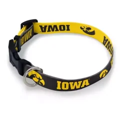 Wincraft Iowa Hawkeyes Team Pet Color