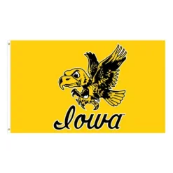 Wincraft Iowa Hawkeyes 3'x5' Deluxe Flying Herky Flag