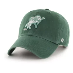'47 BRAND 47 Brand North Dakota State Bison Retro Snorty Cleanup Hat