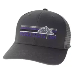 Legacy Athletic Weber State Wildcats Point Hat