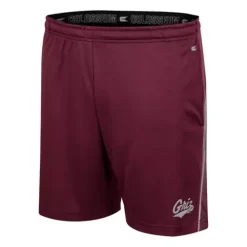 Colosseum Montana Grizzlies Physics Shorts