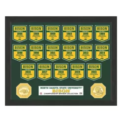 Highland Mint North Dakota State Bison Banner Coin Picture