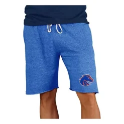 Concepts Sport Boise State Broncos Mainstream Shorts