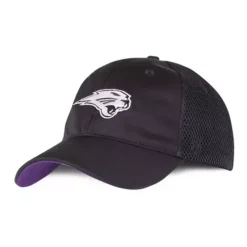 Authentic-Brand Authentic Brand Northern Iowa Panthers Reyes Hat