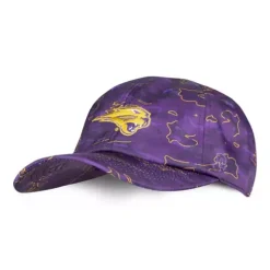 Authentic-Brand Authentic Brand Kids' Northern Iowa Panthers Fessler Hat