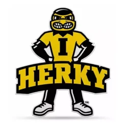 Rico Industries Rico Iowa Hawkeyes Mascot Pennant