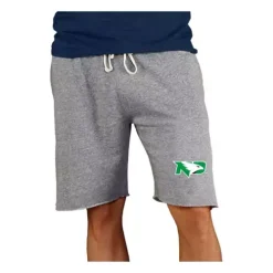 Concepts Sport North Dakota Fighting Hawks Mainstream Shorts