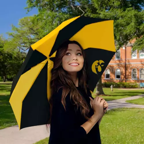 Wincraft Iowa Hawkeyes 42" Umbrella 2 Wincraft Iowa Hawkeyes 42" Umbrella - Image 2